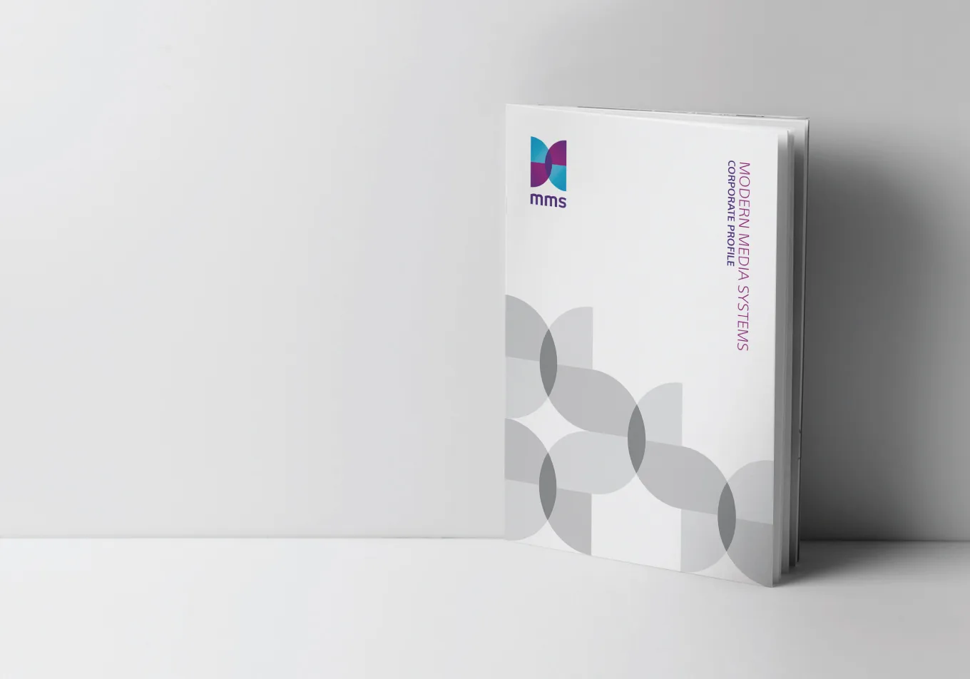 MMS project view 13